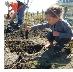 Image - kids planting