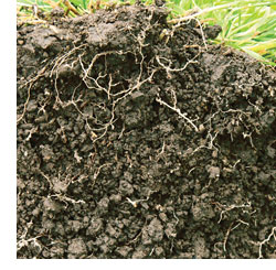 Image - soil