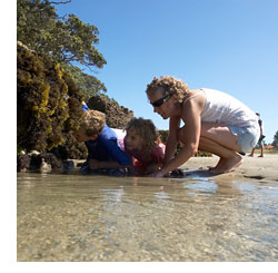 Image - WPI coastal habitats - family in coastal environment