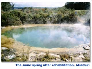 Photo of steaming Atiamuri hot spring after rehabilitation
