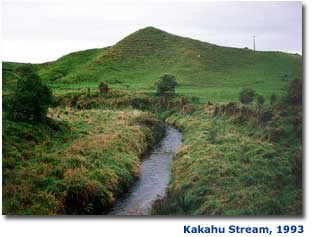 Photo of Kakahu stream in 1993