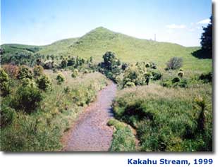 Photo of Kakahu Stream in 1999 with riparian planting