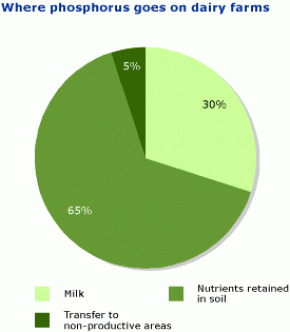 Pie graph showing where phosphorus goes on dairy farms
