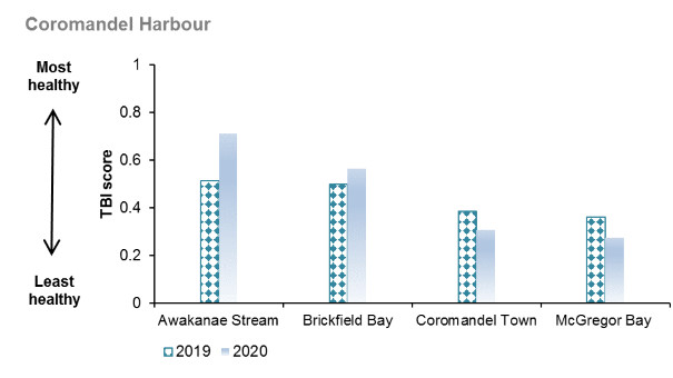Coromandel Harbour macrofauna indicator