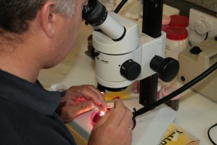 Microscope identification