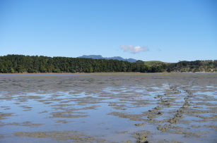 Raglan Harbour Haroto Bay