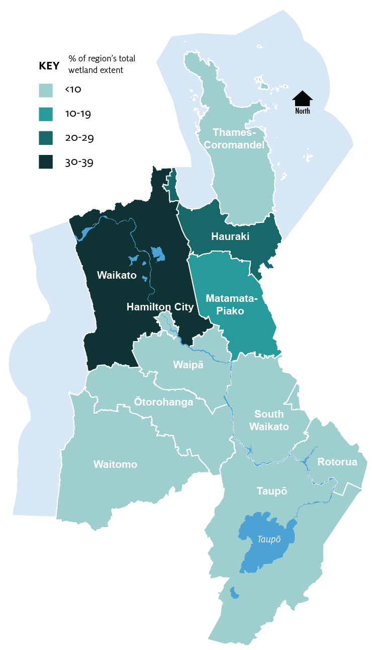 Map showing extent of wetlands in the Waikato region