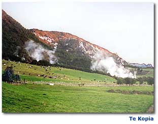 Photo of Te Kopia steaming cliffs and ground