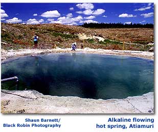 Photo of alkaline flowing hot spring at Atiamuri