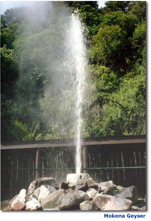 Photo of Mokena Geyser at Te Aroha Hot Springs