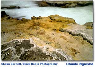 Photo of Ohaaki Ngawha or boiling pool