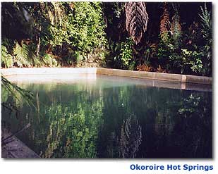 Photo of Okoroire Hot Springs pool