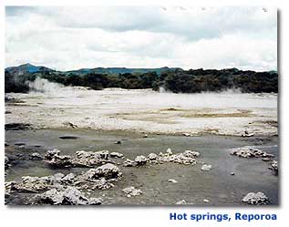 Photo of hot springs at Reporoa