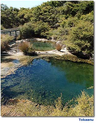 Photo of hot thermal pools at Tokaanu