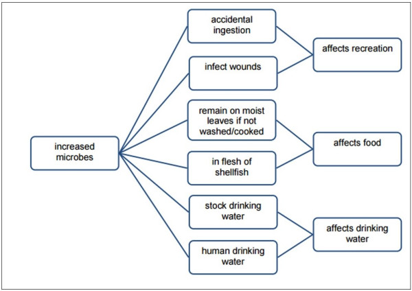 Figure 15. The effects of excessive E.coli levels on water quality and freshwater ecosystems