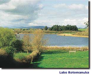 Image - Lake Rotomanuka