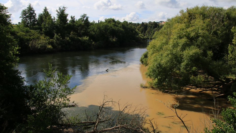 Image of sediment in a river