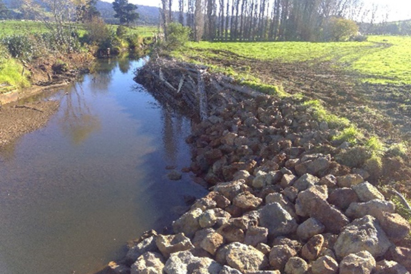 Rock revetment and willow layering for river management