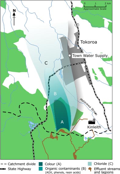 Diagram showing the large area of contamination extending northward from the Kinleith Pulp and Paper Mill