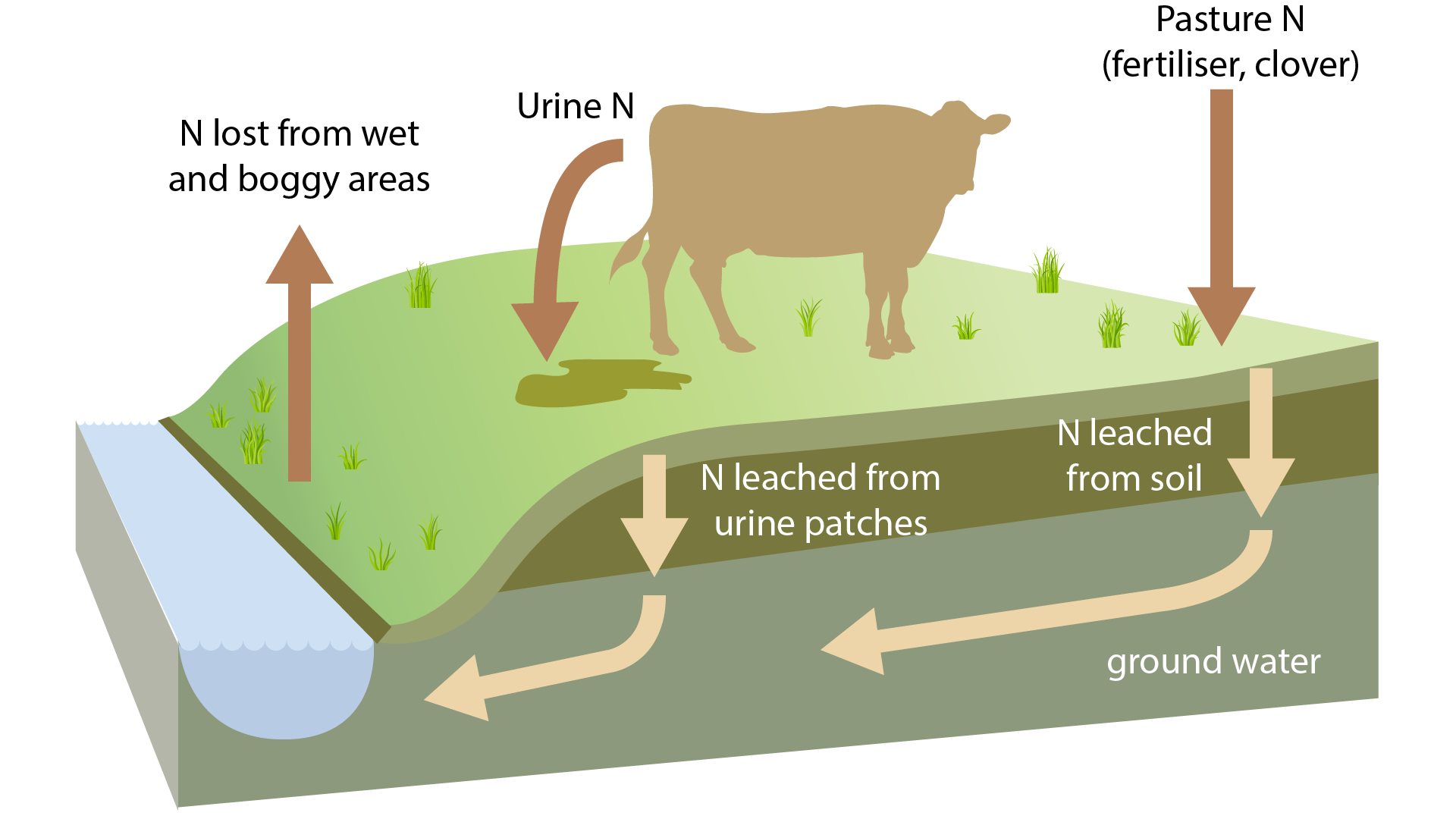 Illustration showing nitrogen cycle on farm