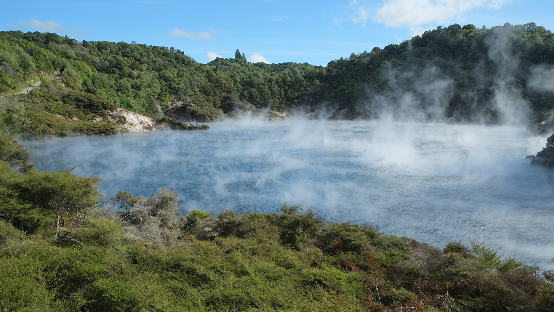 Geothermal steam rising from Frying Pan Lake.