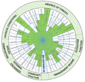 Kahikatea Green Wheel diagram