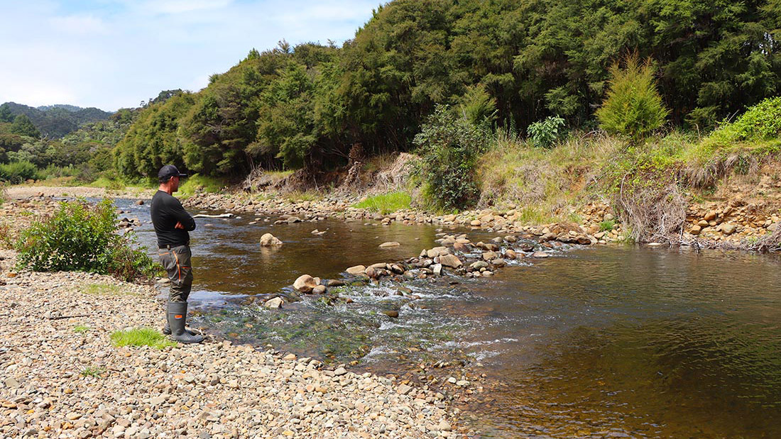 Stabilising banks of the Manaia River will help ensure channel capacity and help mitigate flooding.