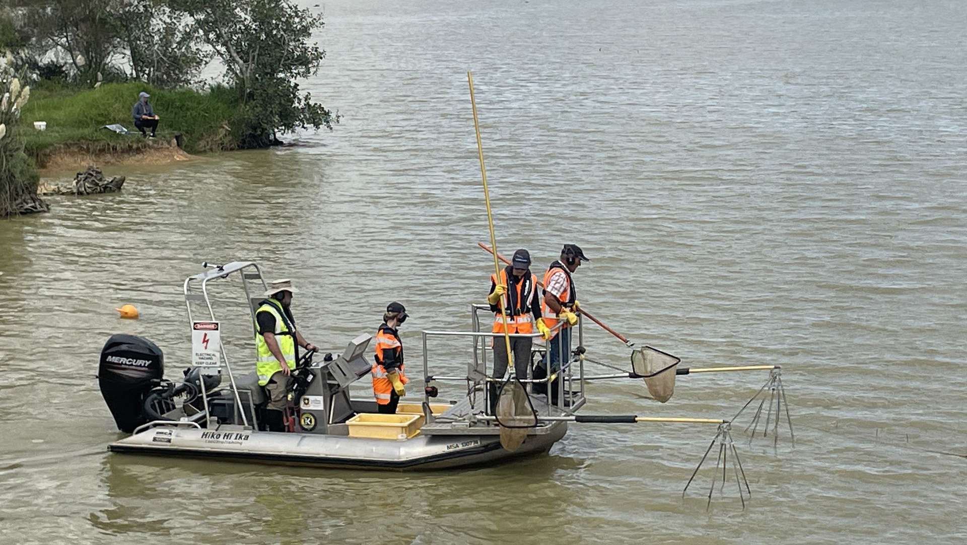 A fish exclusion net was set up and the area between the net and the control gate was electrofished – six native fish were successfully relocated during electrofishing. 