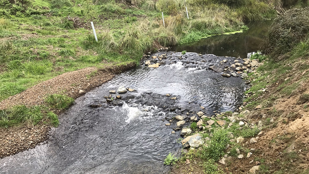 New fish habitat created in the Karāpiro Stream.