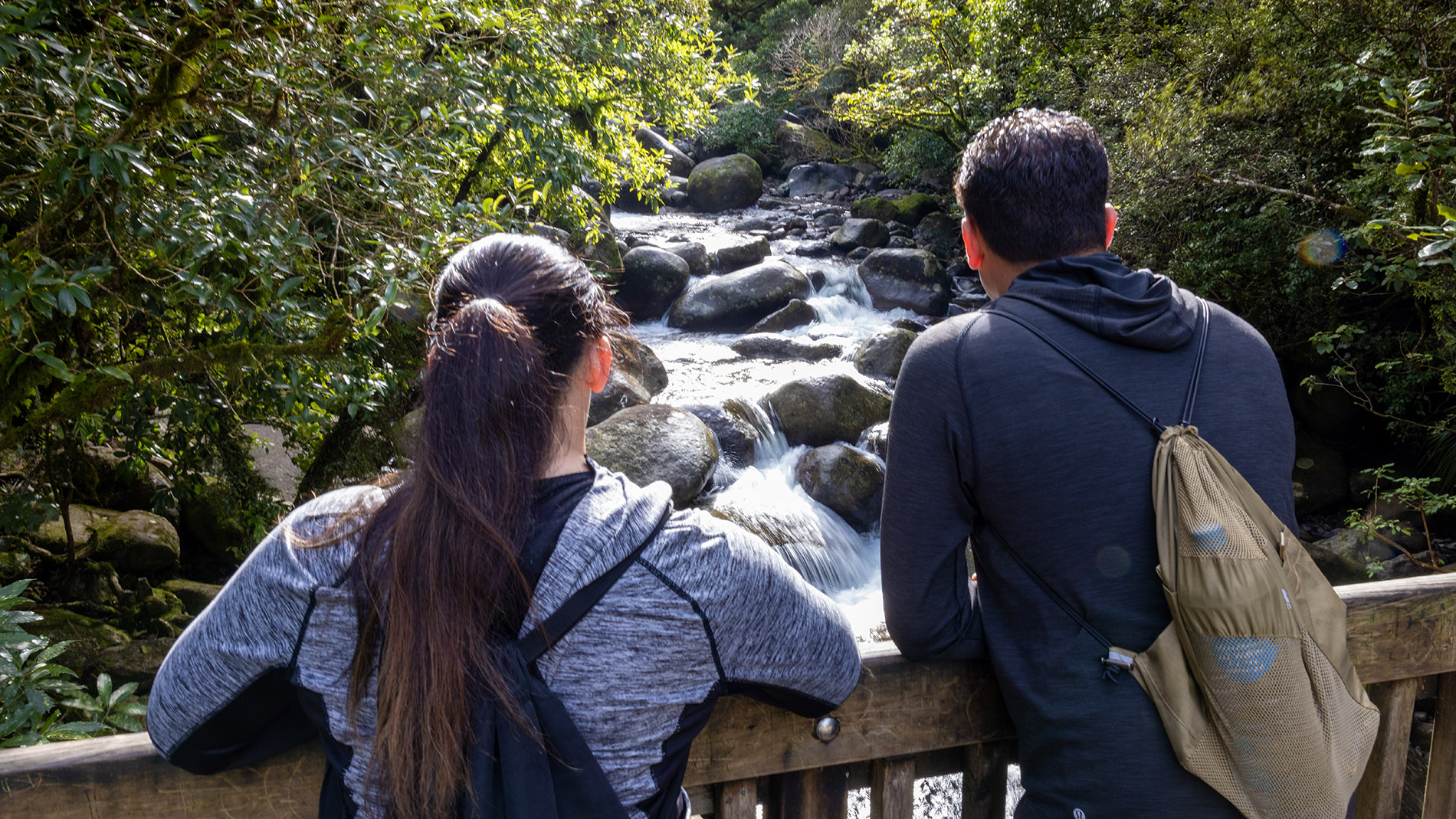 Image of people on bush walk - Wairere falls track