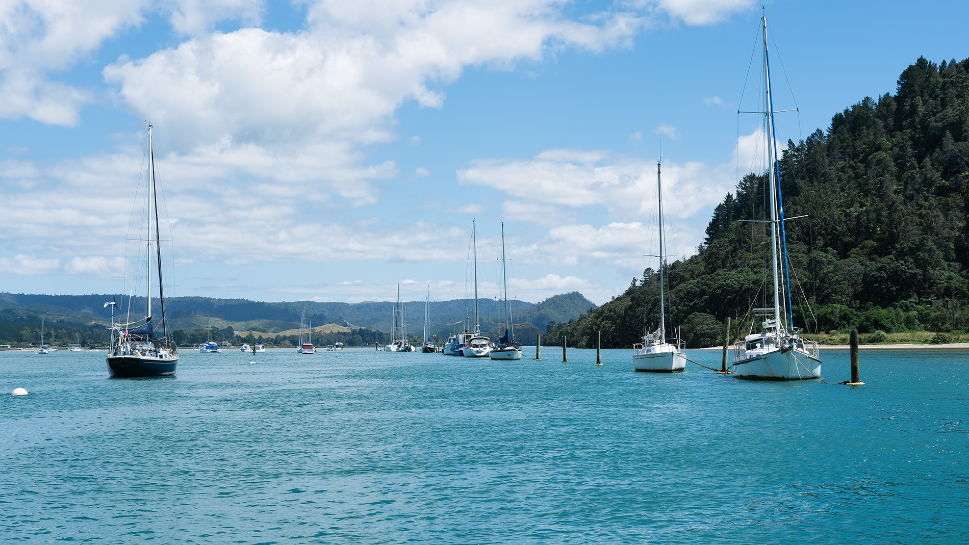 Image - Pole moorings and boats in Whangamata Harbour