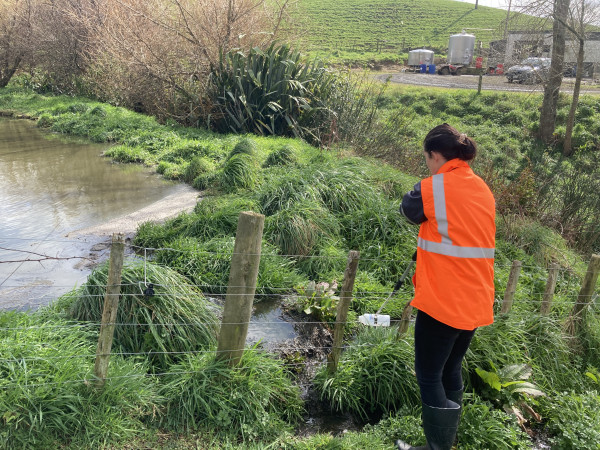 Effluent pond overflow being sampled by Waikato Regional Council compliance staff.