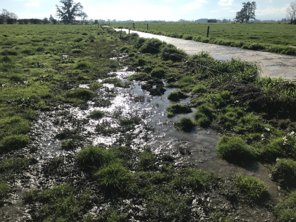 Effluent overflowing from holding pond on Netherton farm (William Gary Brunt case). 