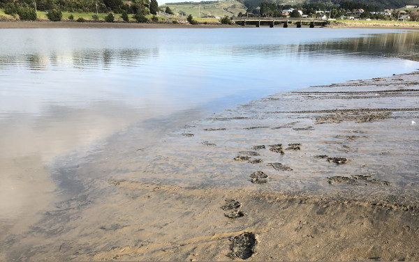 Sediment spread through harbour – 3 August 2018.