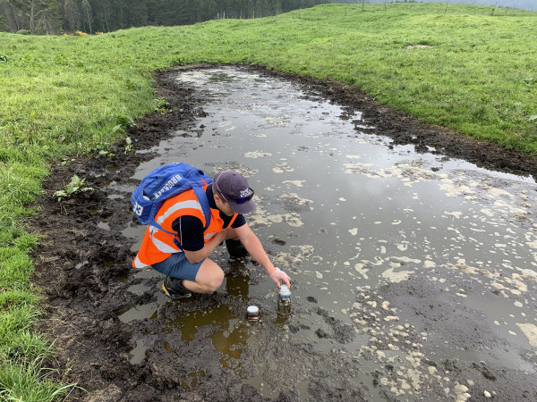 Council officer taking samples of ponded effluent on a farm at Oruanui, north of Taupō. 