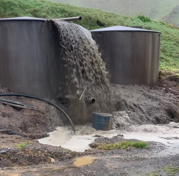 Waikato Regional Council responds to a piggery effluent discharge in August 2023.