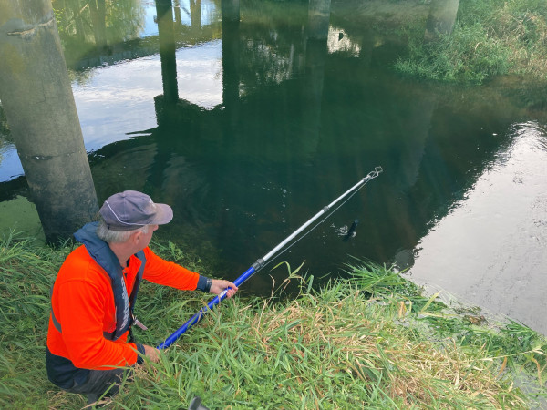 Person standing on the bank of the Waitoa River collecting a sample of water for testing