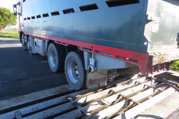 File photo of effluent being discharged from a stock transport truck at a Waikato dumping facility. 