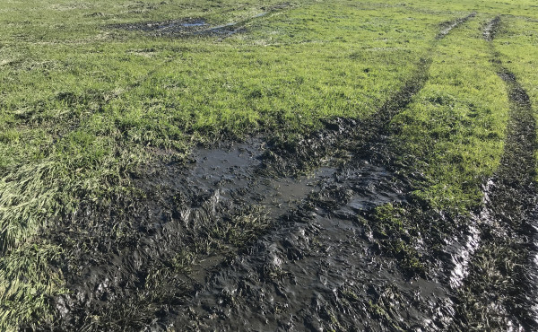 Significant ponding of thick effluent sludge and liquid in a paddock.
