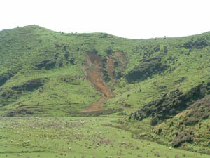 Image of hillside and soil